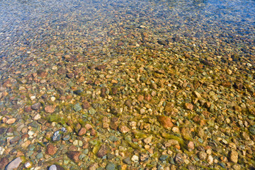 The background of the river bottom.