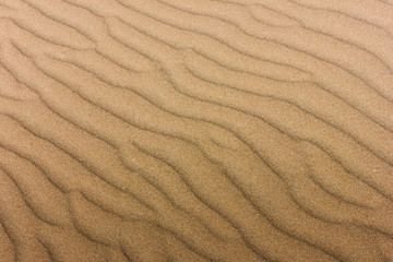 Sand lines wallpaper