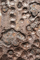 Pitted rusty bullet hole surfrace