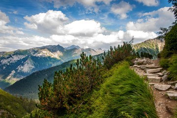 Plakat Mountain landscape. High Tatras, Poland.