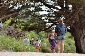 Obraz premium Des randonneurs sur le sentier côtier GR34 à Trégastel en Bretagne