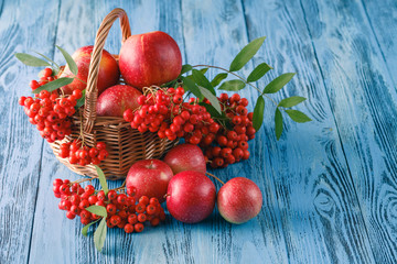Autumnal still life with apples and rowan-berry