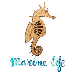 Seahorse - hand drawn vector illustration with lettering