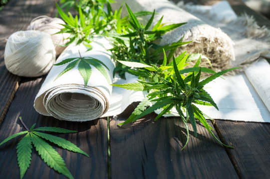 Leaves of cannabis and hemp cloth rollon the dark wooden surface Stock  Photo | Adobe Stock