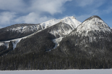 Snow covered trees with mountain in winter, Emerald Lake, Field,