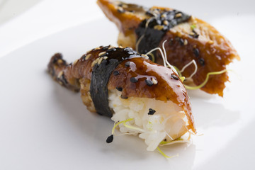 Nigiri eel