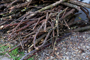 dry loppings