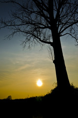 silouette al tramonto