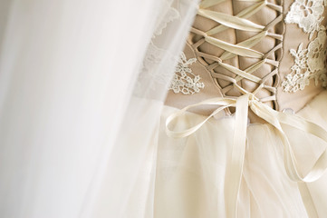 Closeup corset wedding bridesmaid dresses , rear view
