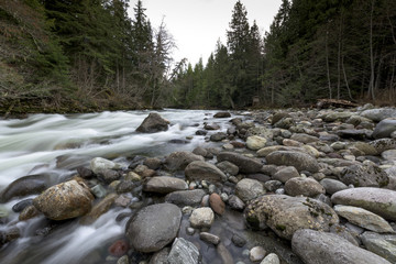 Fototapeta na wymiar River flowing in a forest, Whistler, British Columbia, Canada