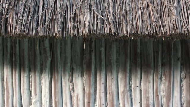 Straw hut background footage