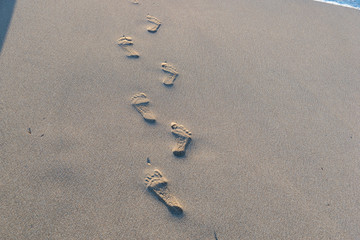 footsteps on a sandy beach