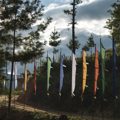 Fototapeta premium Prayer flags along a dirt road in Bhutan.