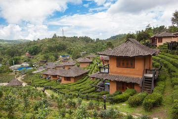 Ban Rak Thai, the tea farm and resort. Mae Hong Son, Thailand