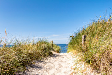 Beach and dunes with beachgrass in summer - obrazy, fototapety, plakaty