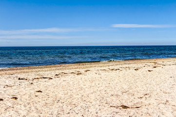 Beach coastline of the Baltic Sea in summer
