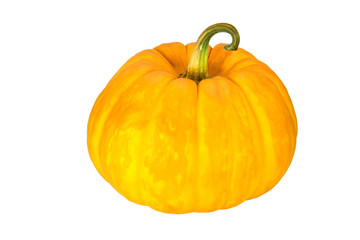 Small Pumpkin