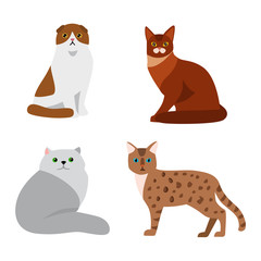 Cat breeds cute pet animal set vector illustration. Cat breed animal and cartoon different cats. Mammal character human friend cat breed animals icons. Character cat portrait friend feline.