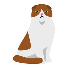 Cat cartoon style vector silhouette. Cute domestic cat animal sitting. Cartoon cat young adorable tail symbol playful. Cartoon funny domestic pussy kitty cat sit character