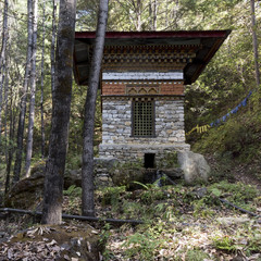 A Buddhist stupa in the forest.