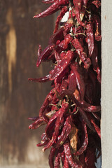 Obraz premium Close up view of drying red chili peppers.