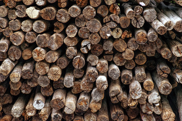 Background of dry chopped firewood logs from tropical trees stacked up on top of each other in a pile.
