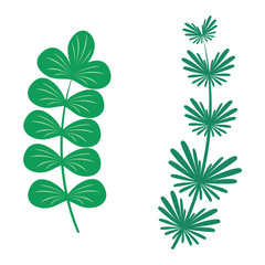 Leaf icon vector illustration.