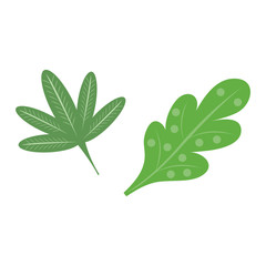 Leaf icon vector illustration.