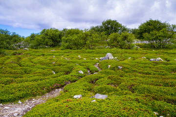 Лабиринты Заяцкого острова, Соловки, север России, Карелия. 