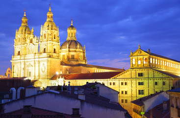 Obraz premium Salamanca at night