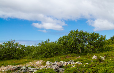 Заяцкий остров, Соловки, север России, Карелия.