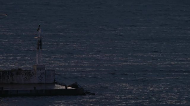 Fishing ship sailing in the sea at night and passing by sea-light
