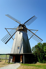 Fototapeta premium Windmühlen von Angla / Saaremaa 