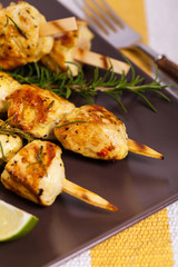 Middle Eastern Chicken Kebabs. Selective focus. 