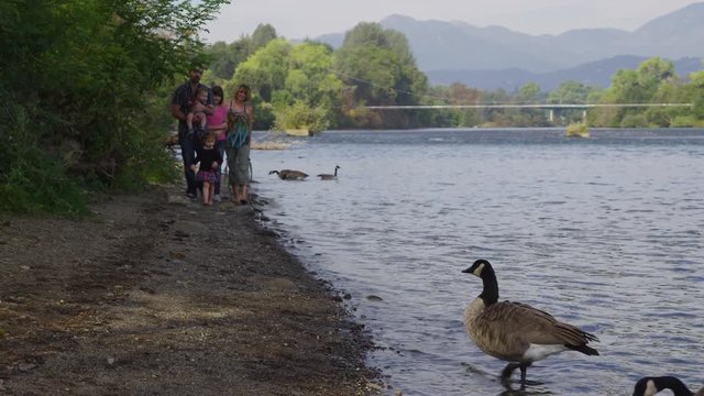Family walking together by river