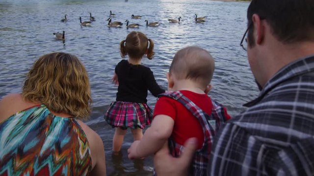 Family feeding geese together