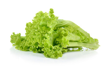 fresh  lettuce leaves isolated on white