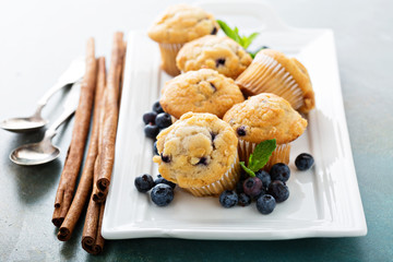 Blueberry muffins on a plate