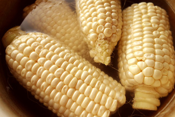 白いトウモロコシ