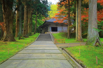 世界遺産　平泉　中尊寺の紅葉