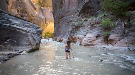 The Narrows of Virgin River, Zion National Park, Utah, USA. Hiker looking at the sunlight reflected on the popular slot canyon's walls.