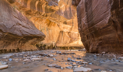 The Narrows of Virgin River, Zion National Park, Utah, USA. Sunlight reflects on the popular slot canyon's walls.