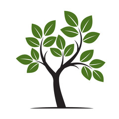 Shape of Tree. with Green Leafs. Vector Illustration.