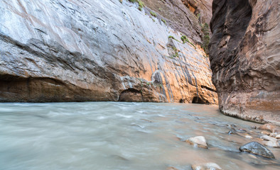 The Narrows of Virgin River, Zion National Park, Utah, USA. The Narrows is the most popular hike in Zion National Park, and one of the world's best slot canyon hikes.