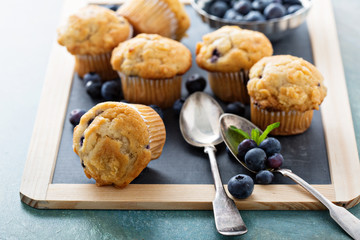 Blueberry muffins on a tray