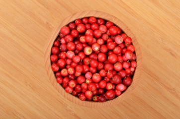 Lingonberry (Vaccinium vitis-idaea)