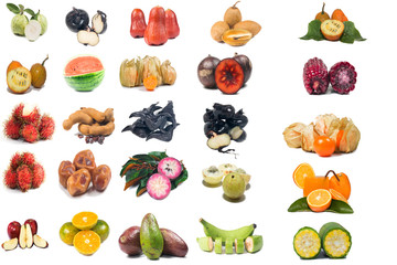 Collection of fruit isolate on white
