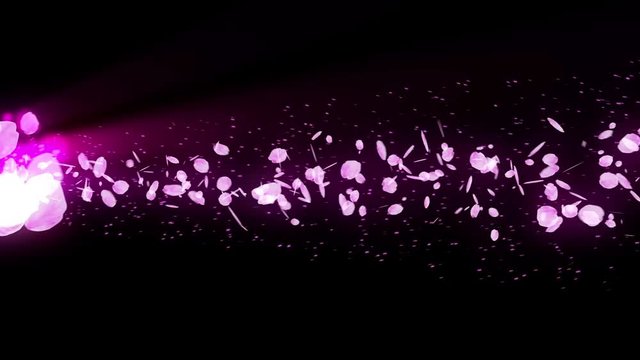 桜 回転 舞う 黒背景