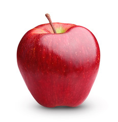 Apple fruit isolated