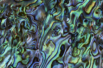 Panele Szklane  Abalone shell background texture